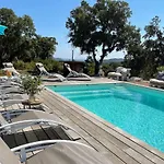 Domaine Loadana סנט-לוסידה פורטו-וקיו